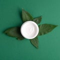 SPA natural organic cream moisturizer and plant leaves on green background. Nature skincare cosmetic s concept