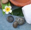Spa objects with flower for relax massage treatment Royalty Free Stock Photo