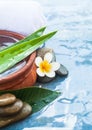 Spa objects for massage therapy on blue background Royalty Free Stock Photo