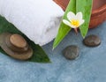 Spa objects for relax massage with sunlight outdoor Royalty Free Stock Photo