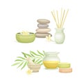 Spa objects set. Aromatic reed diffuser, pebble stones, oil. Beauty routine and skin care vector illustration