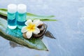 Spa objects and stones, flower and bottles for massage treatment on dark background