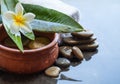 Spa objects, stones. flower, leaves for massage treatment