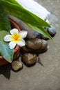 spa objects and stones, leaves and white towel
