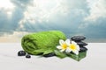 Spa objects towel, flowers. stones, leaves for healthy therapy Royalty Free Stock Photo