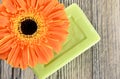 Spa organic soap and flower Royalty Free Stock Photo