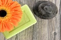 Spa organic soap, stone and flower Royalty Free Stock Photo