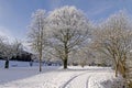 Spa park in winter, Bad Rothenfelde, Germany Royalty Free Stock Photo