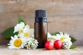 Spa perfume essential aroma oil glass bottle with flower blossoms on old wooden background Royalty Free Stock Photo