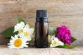 Spa perfume essential aroma oil glass bottle with flower blossoms on old wooden background Royalty Free Stock Photo