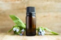 Spa perfume essential aroma oil glass bottle with flower blossoms on old wooden background Royalty Free Stock Photo