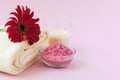 Spa product with Gerbera flowers on pink background Royalty Free Stock Photo