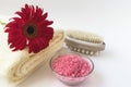 Spa product with Gerbera flowers on white background Royalty Free Stock Photo