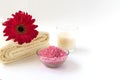 Spa product with Gerbera flowers on white background Royalty Free Stock Photo