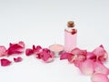 spa products of rose essential oil Royalty Free Stock Photo