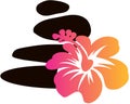 Spa Rocks and Hawian Flower Vector