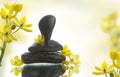 Spa rocks with yellow star flowers Royalty Free Stock Photo
