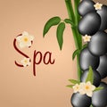 Spa salon banner with stones and bamboo. Thai Massage. Wood texture. Vector illustration Royalty Free Stock Photo