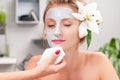 Spa salon. Beautiful woman with clay facial mask at beauty salon Royalty Free Stock Photo