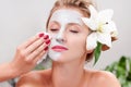 Spa salon. Beautiful woman with clay facial mask at beauty salon Royalty Free Stock Photo