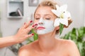 Spa salon. Beautiful woman with clay facial mask at beauty salon Royalty Free Stock Photo