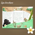 Spa salon brochure