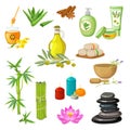 Spa Salon Decorative Elements Set Royalty Free Stock Photo