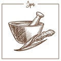 SPA salon herbal mortar treatment vector sketch icon