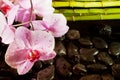 Spa scene with pink orchid Royalty Free Stock Photo