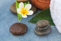 Spa set with objects and stones for massage treatment Royalty Free Stock Photo