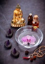 Spa set. Orchid flowers in a bowl with water, stones Zen, Buddha statue and massage oils Royalty Free Stock Photo
