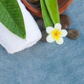 Spa set with tropical flower for relax body massage treatment