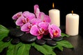 spa set of zen stones with drops, blooming twig of orchid Royalty Free Stock Photo