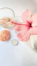 Spa setting and Spa background composition with hibiscus pink flower on white background. Copy space Royalty Free Stock Photo