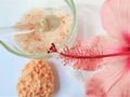 Spa setting and Spa background composition with hibiscus pink flower on white background. Copy space Royalty Free Stock Photo