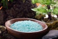 Spa setting with bath salt Royalty Free Stock Photo