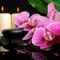 spa setting of blooming twig stripped violet orchid (phalaenopsis ), zen stones, big green leaf and candles with drops and Royalty Free Stock Photo