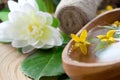 Spa setting with flower Royalty Free Stock Photo