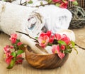 Spa Setting with Pink Beautiful Flowers and Sea Salt