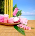 Tropical spa Royalty Free Stock Photo