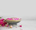 Spa setting with roses and copy space. Rose water bowl for spa and wellness treatments. Rose spa still life