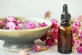 Spa setting with roses. Rose oil bottle with rose water bowl for spa and wellness treatments. Rose spa still life Royalty Free Stock Photo