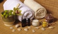 Spa setting with seashells Royalty Free Stock Photo