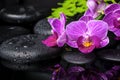 Spa setting of stripped lilac orchid (phalaenopsis), branch Royalty Free Stock Photo