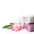 Spa setting of towel, flower on white background with copy space. Royalty Free Stock Photo