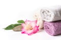 Spa setting of towel, pink flower isolated on white. Copy space. Square image. Royalty Free Stock Photo