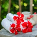 Spa setting with towels and red hibiscus flowers Royalty Free Stock Photo