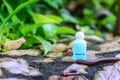 Spa shower gel on stone with millipede in natural background Royalty Free Stock Photo