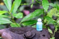 Spa shower gel on wooden stump in natural background Royalty Free Stock Photo