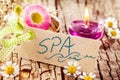 Spa sign on tree bark with flowers and candle Royalty Free Stock Photo